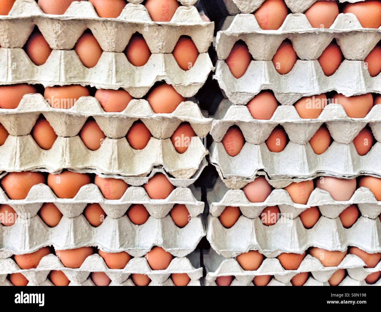 eggs stacked in cartons Stock Photo