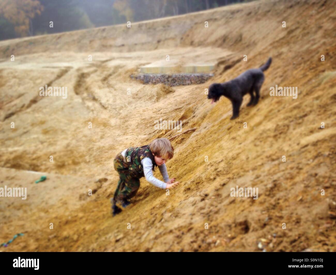 A dog looks down at a young boy as he attempts to scramble up a sand bank in Yateley in England. Stock Photo