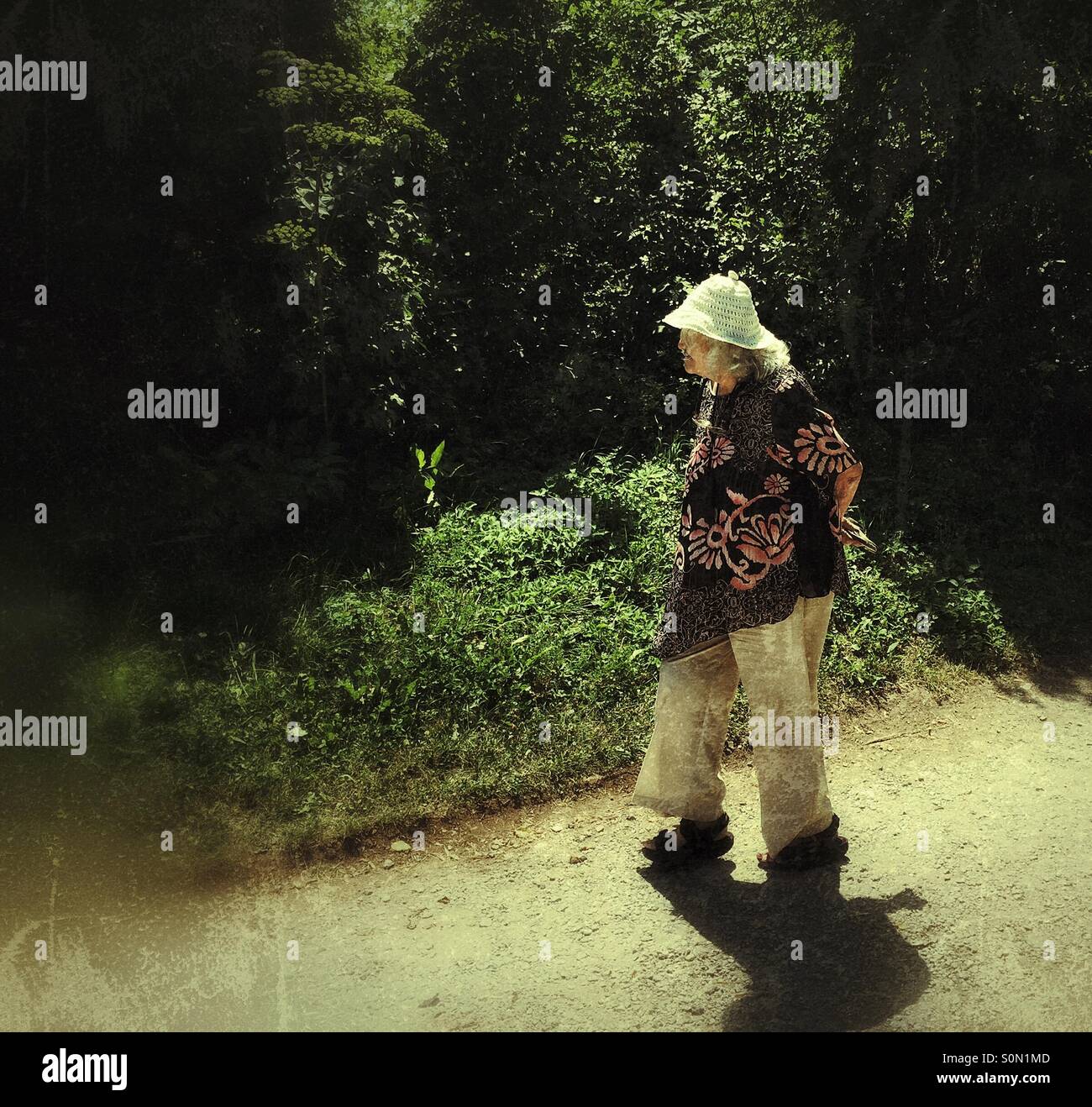 Old Woman Walking Forest High Resolution Stock Photography and Images ...
