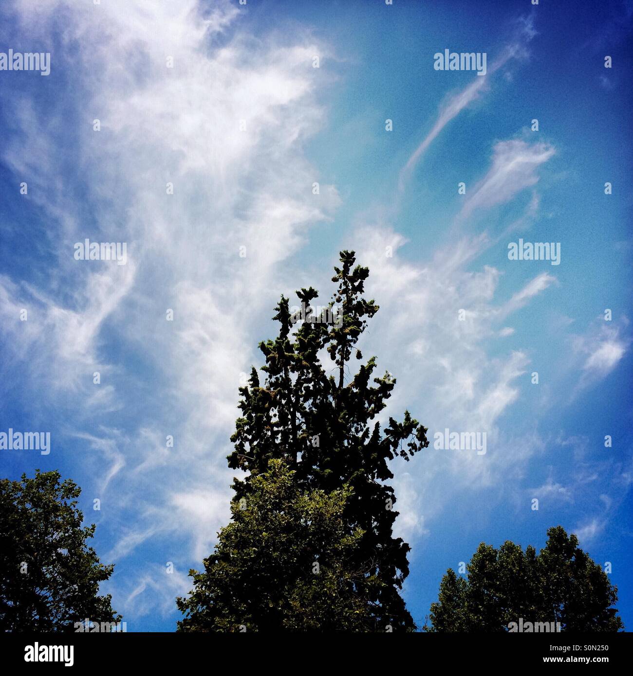 Cloud formations. Stock Photo