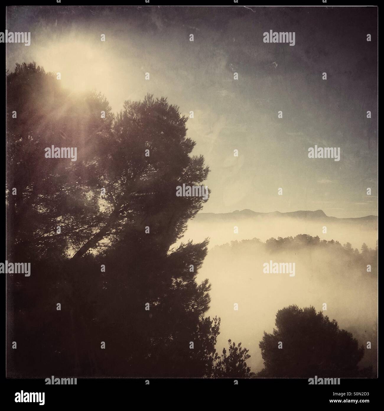 Sun rises above the fog, Catalonia, Spain. - Smartphone Captured Stock Image