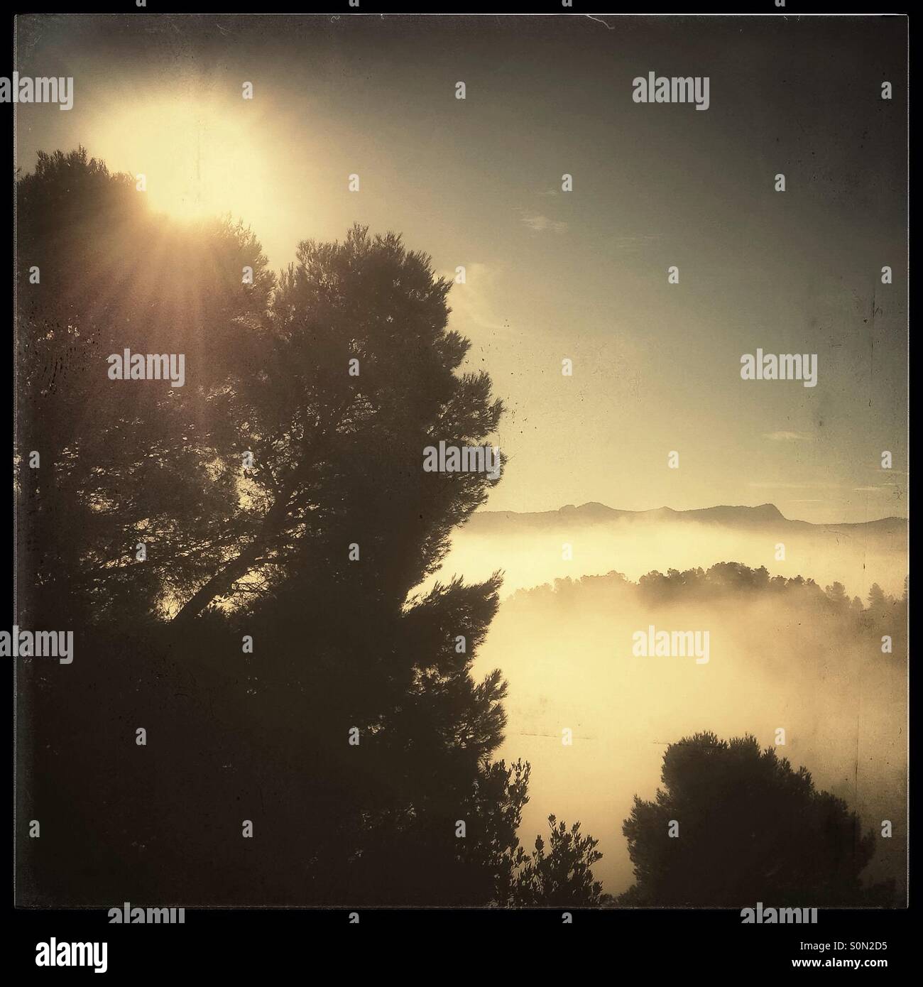 Sun rises above the fog, Catalonia, Spain. - Smartphone Captured Stock Image