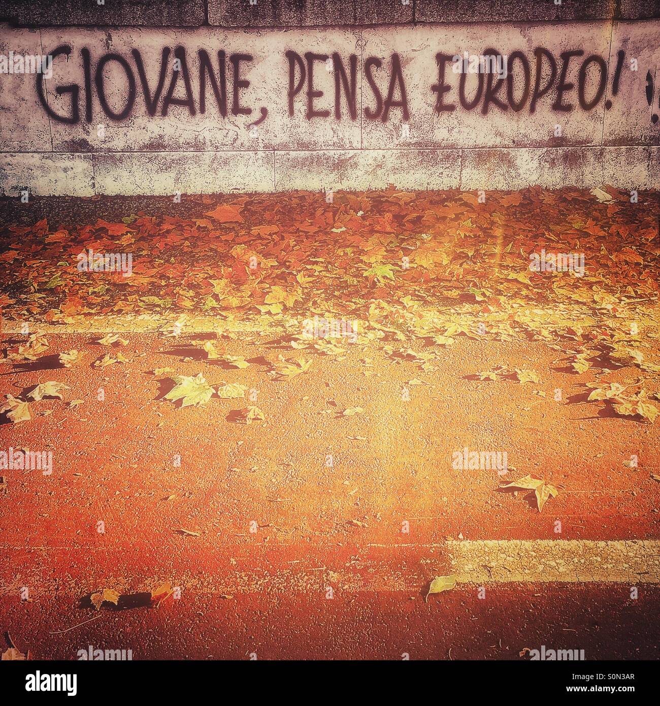 Giovane pensa Europea - Young think of Europe. Autumn graffiti Rome - Smartphone Captured Stock Image