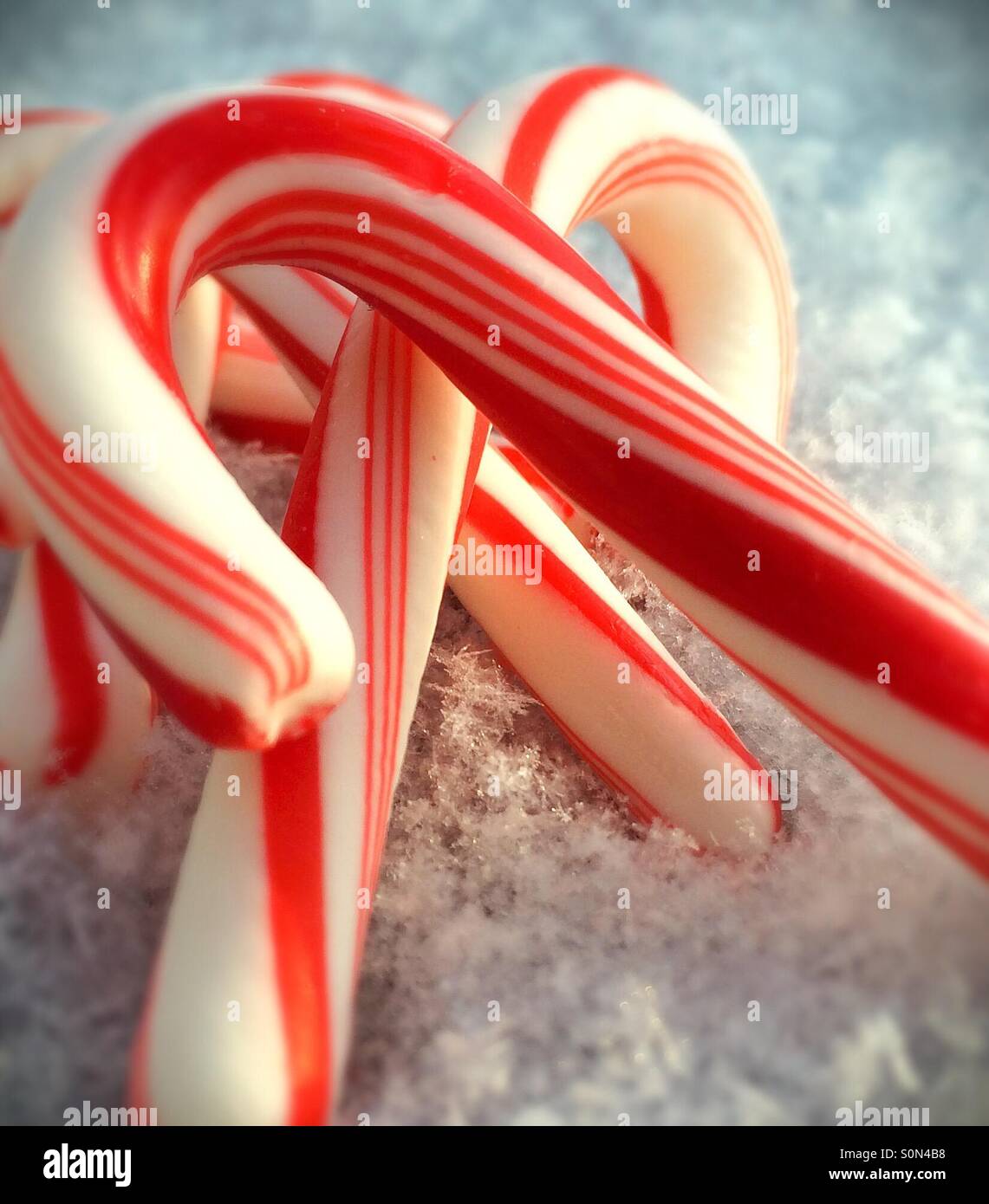 Closeup of candy canes in fresh snow Stock Photo Alamy