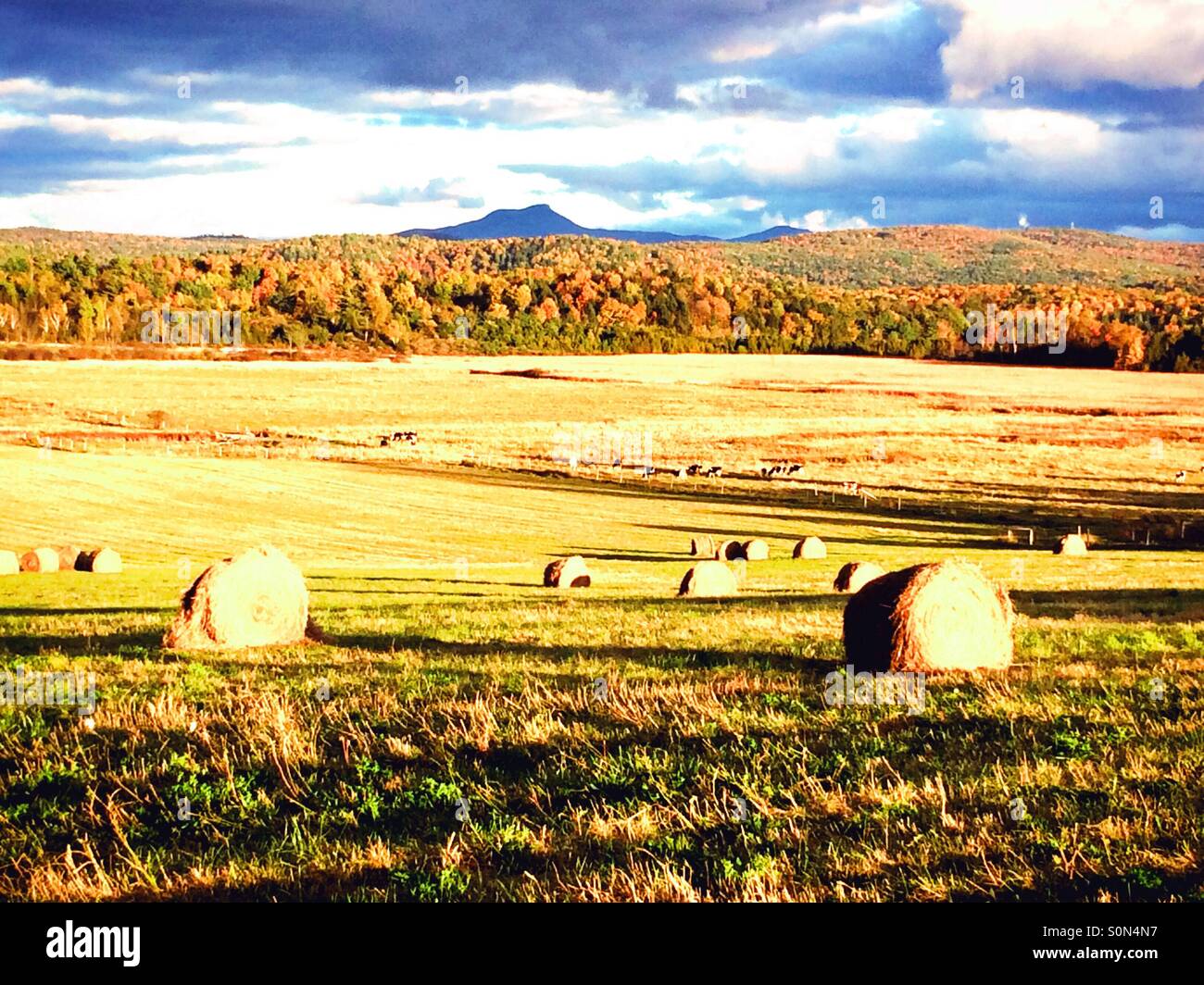 Fields of Vermont Stock Photo