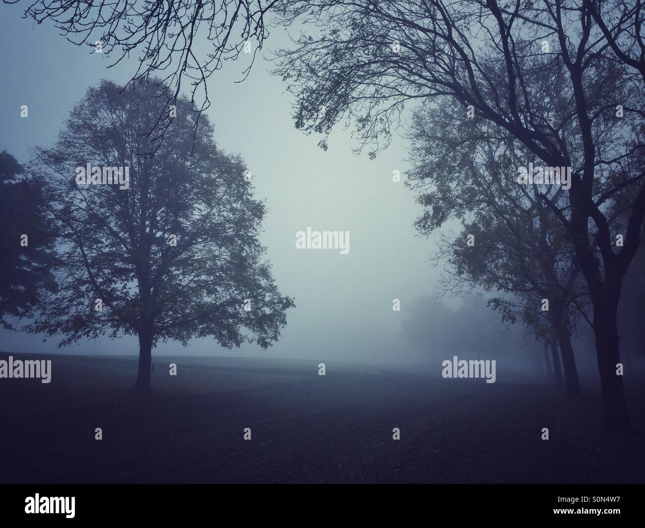 Foggy field - Smartphone Captured Stock Image