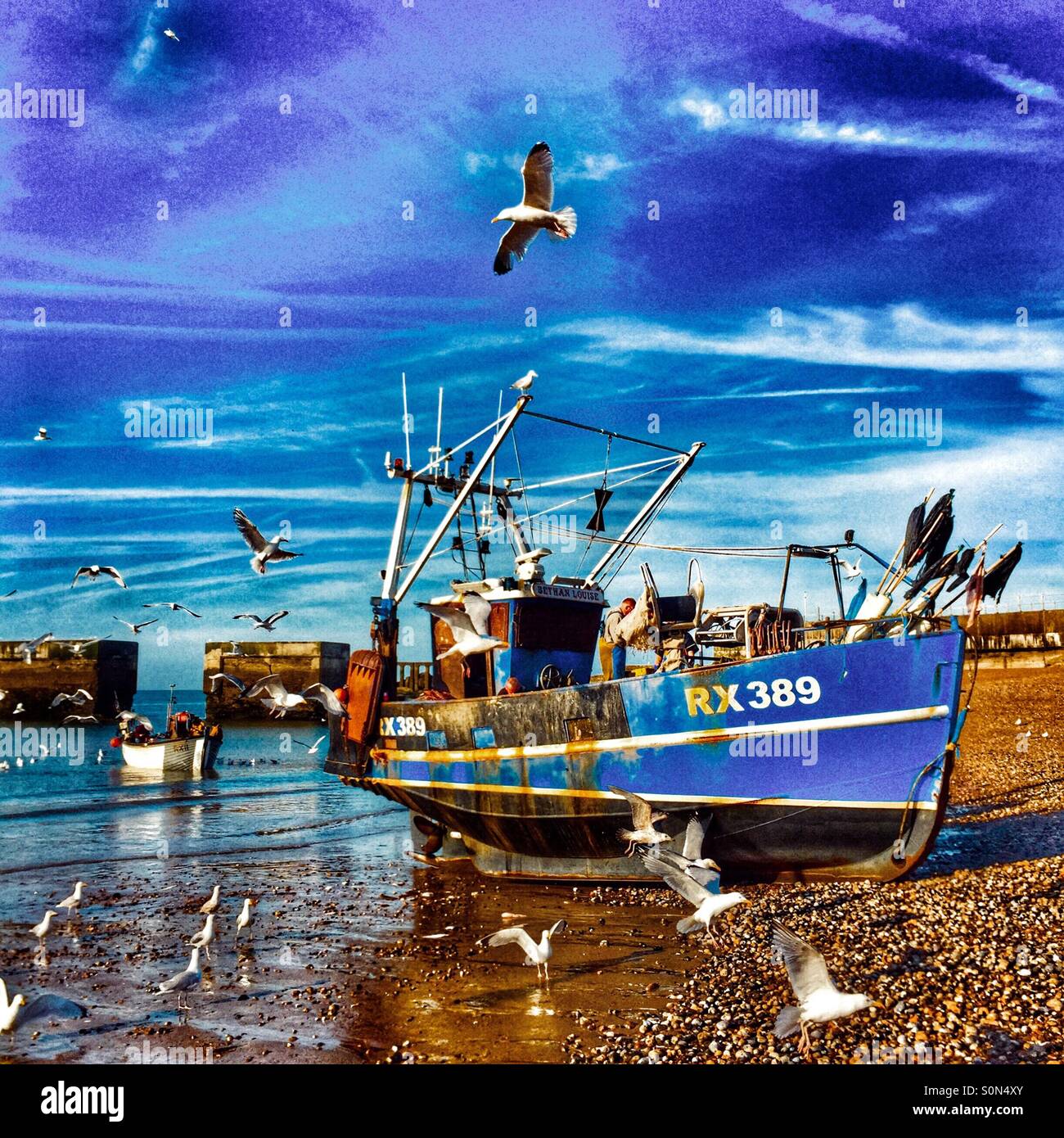 Seagulls wheel over Hastings trawler landing its catch on the beach at dawn, East Sussex, England, UK - Smartphone Captured Stock Image