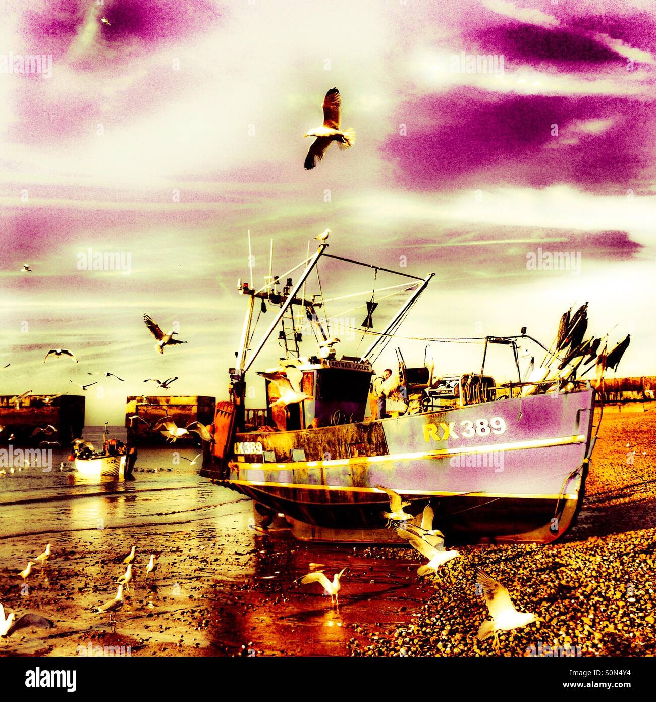 Seagulls wheeling over Hastings fishing boat unloading it's nights catch at dawn on the Stade beach, East Sussex, UK - Smartphone Captured Stock Image