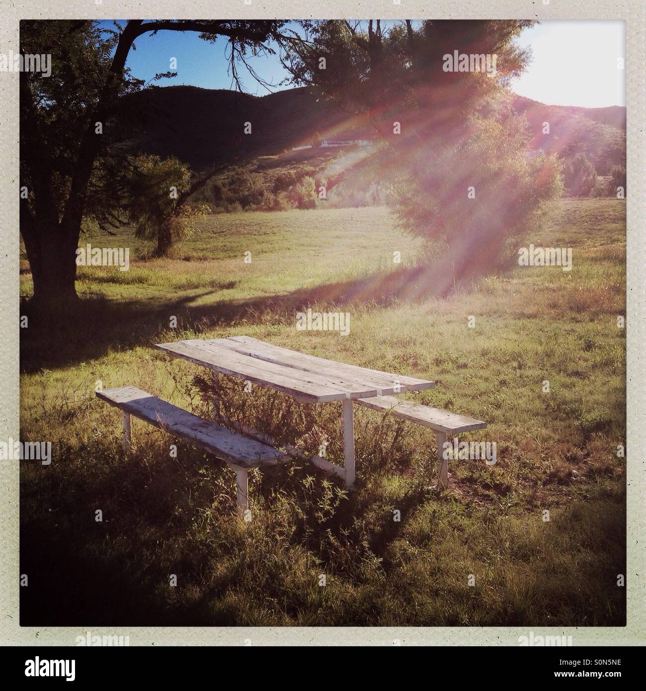 Public Picnic Table High Resolution Stock Photography and Images - Alamy