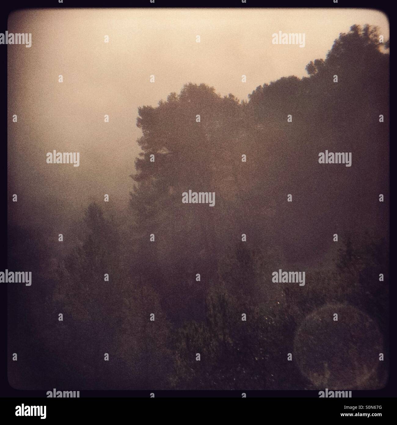 Foggy mountain forest view, Catalonia, Spain. - Smartphone Captured Stock Image