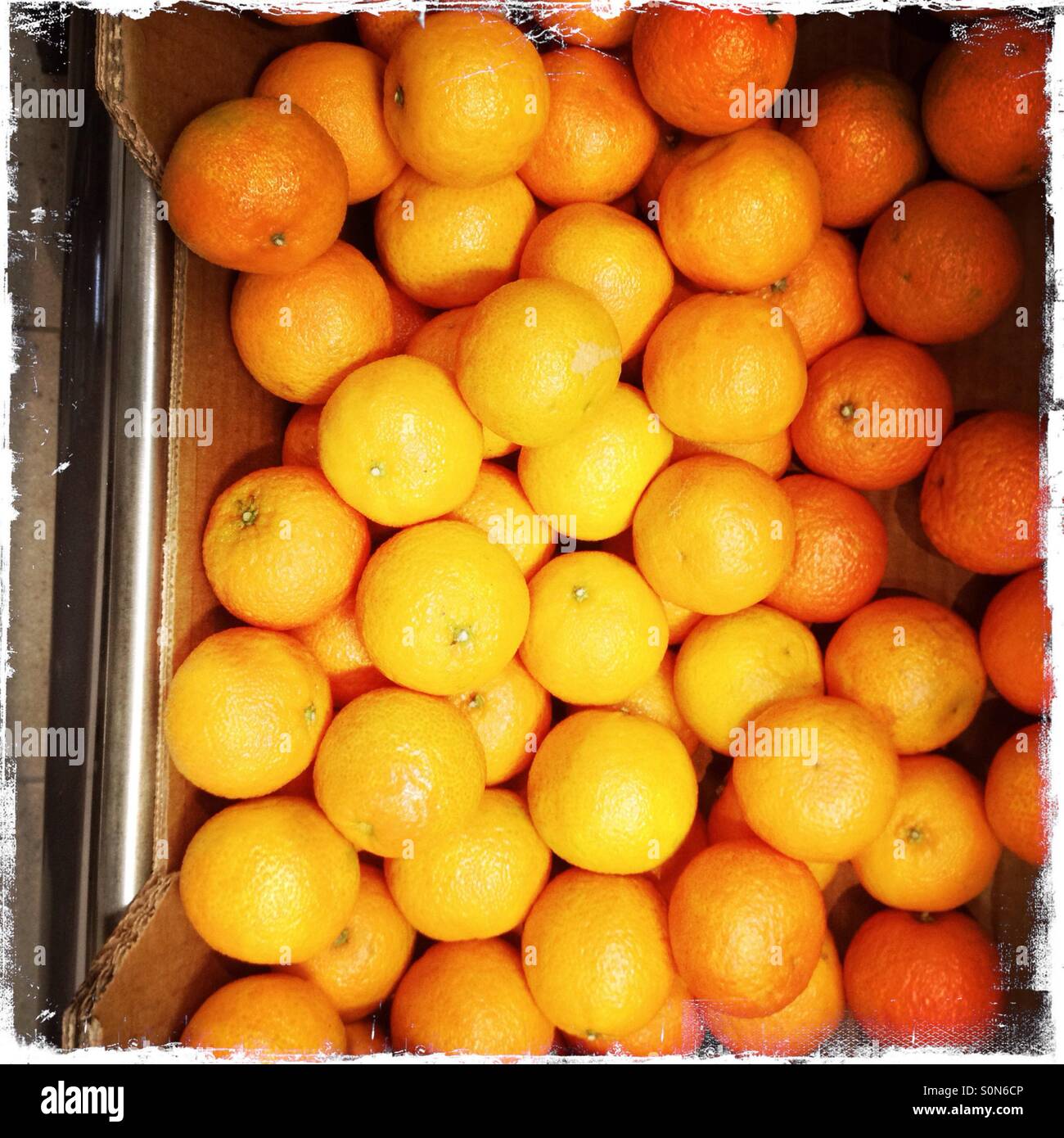 Satsumas hires stock photography and images Alamy