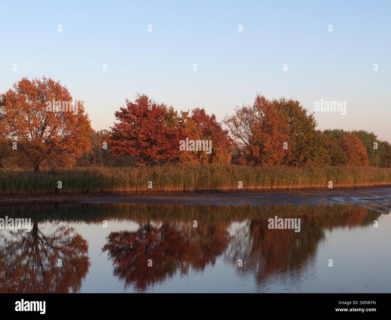 Autumn Trees Reflexion in Lake Stock Photo - Alamy