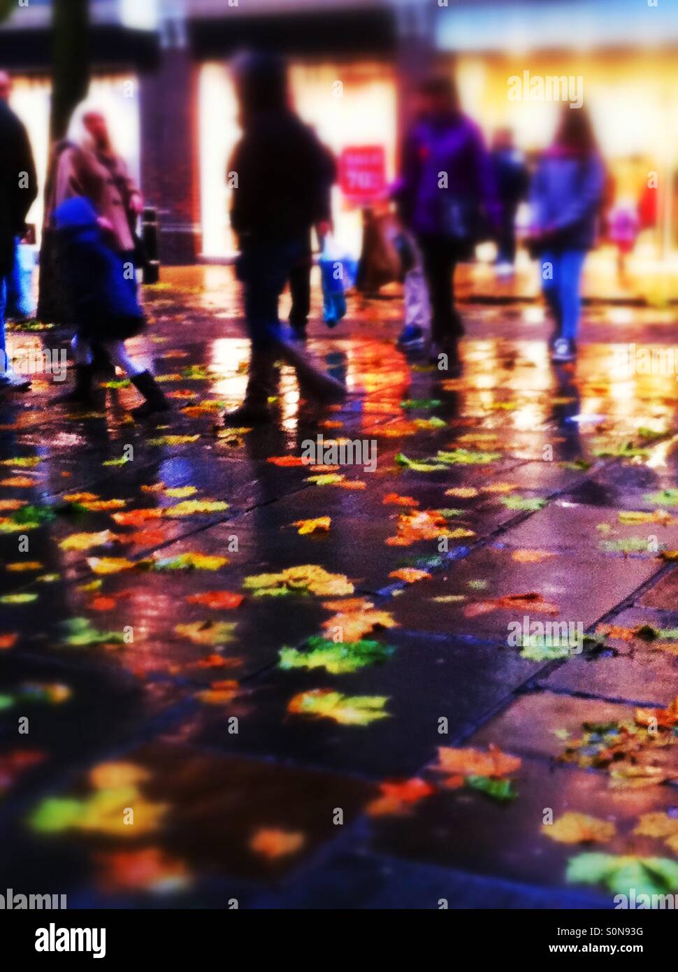 Rainy day in autumn England UK - Smartphone Captured Stock Image