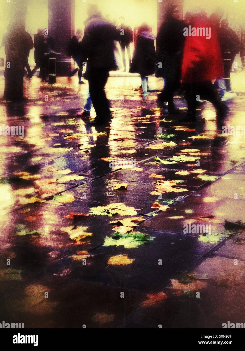 Rainy day in autumn England UK - Smartphone Captured Stock Image