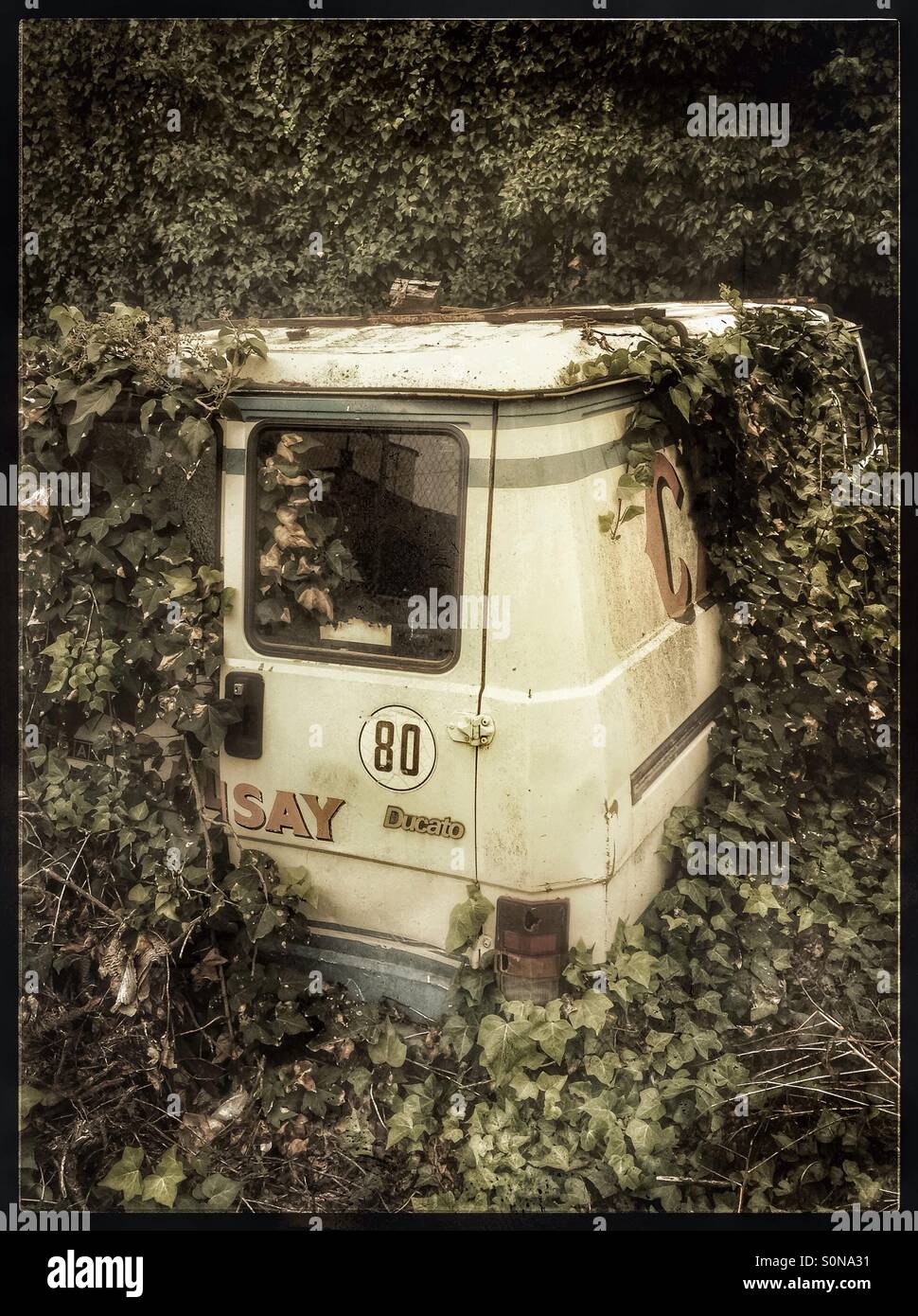 Old van overgrown with ivy, Spain. - Smartphone Captured Stock Image