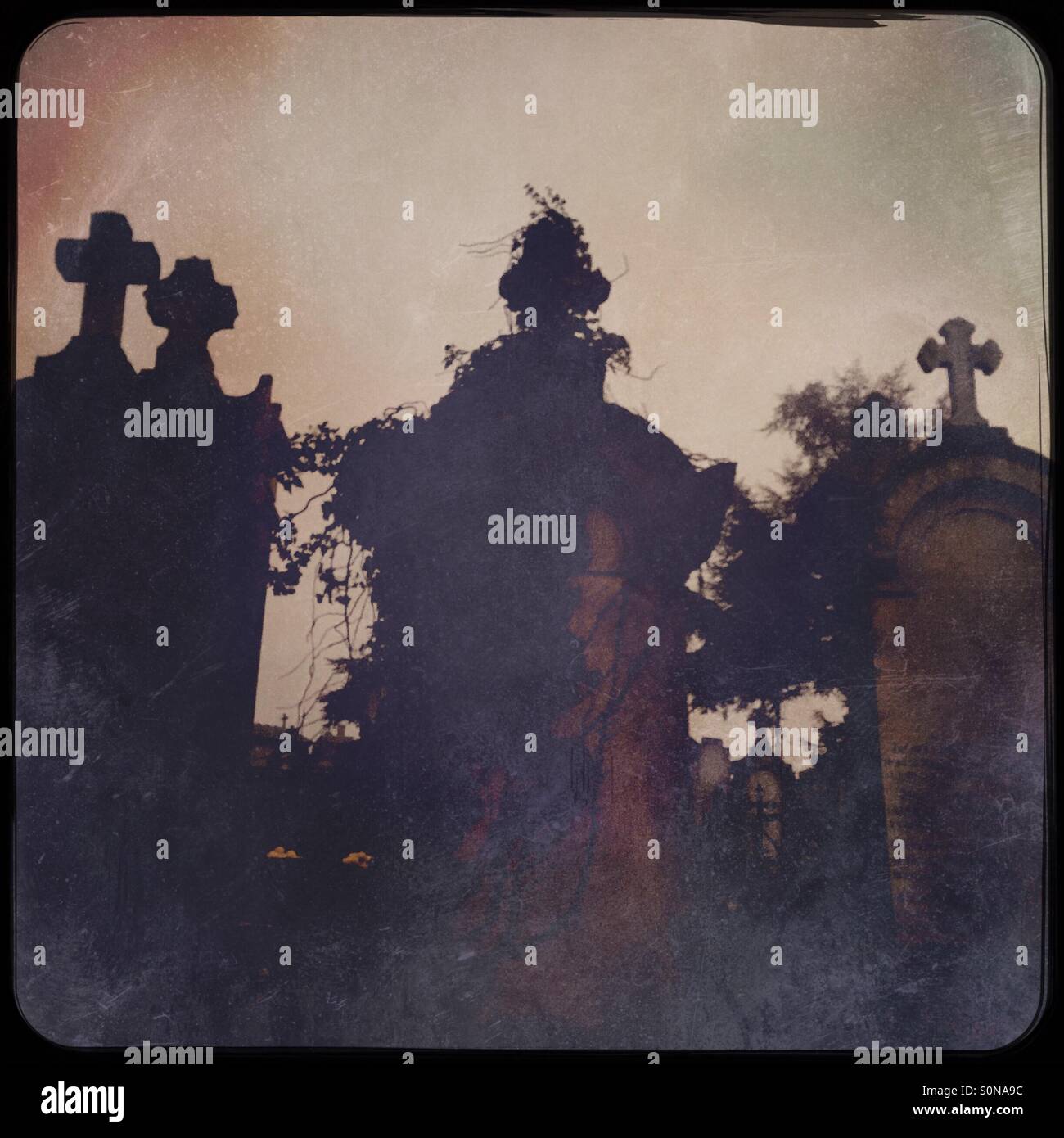 Scary graves horror Stock Photo