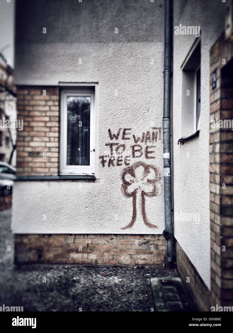 Freedom - Smartphone Captured Stock Image