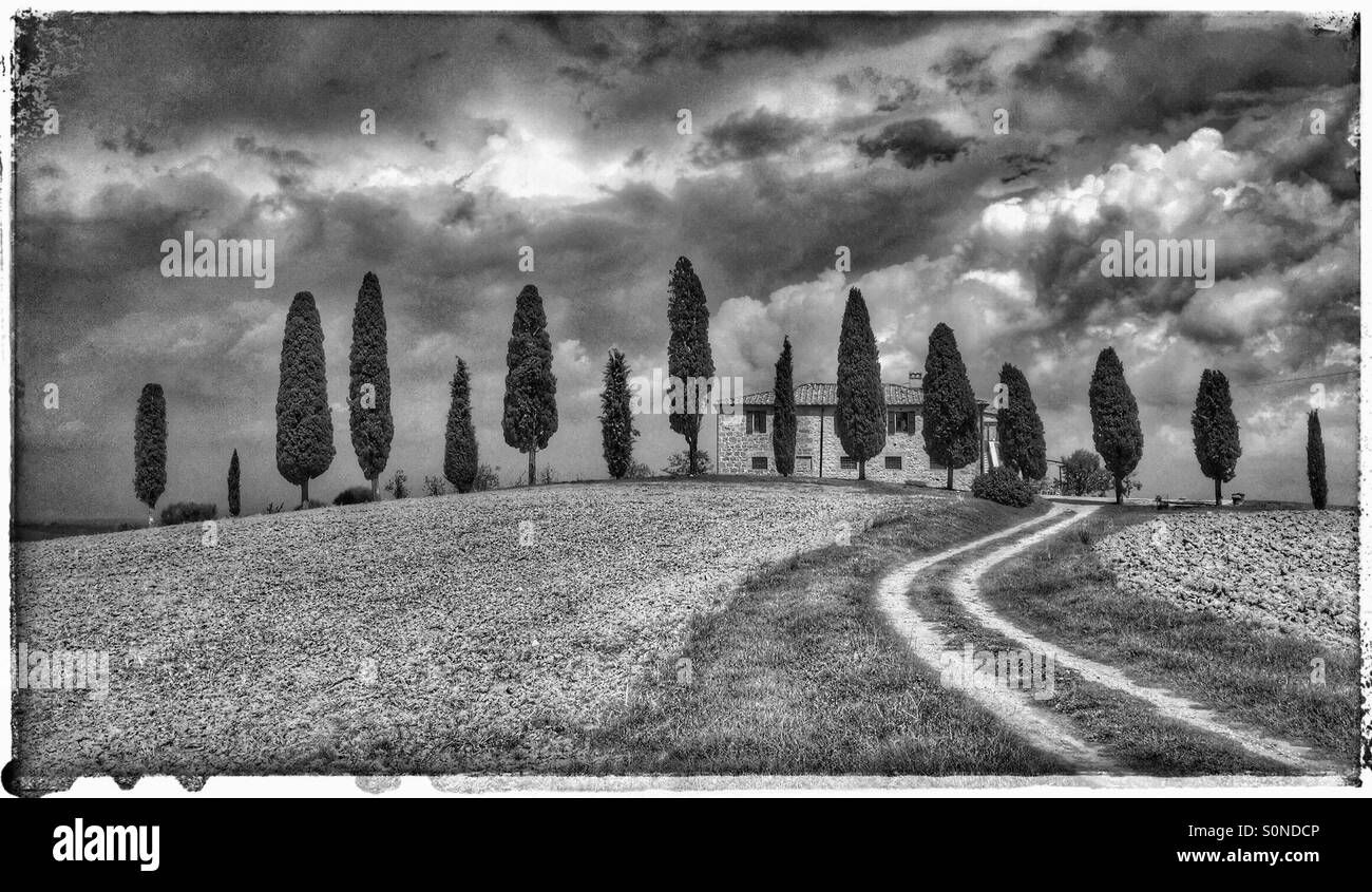 A moody monochrome landscape view of an iconic Tuscan landscape. An Italian Farmhouse protected by a row of Cypress Trees near Pienza in the Val d'Orcia, Tuscany, Italy. Photo Credit - © COLIN HOSKINS - Smartphone Captured Stock Image