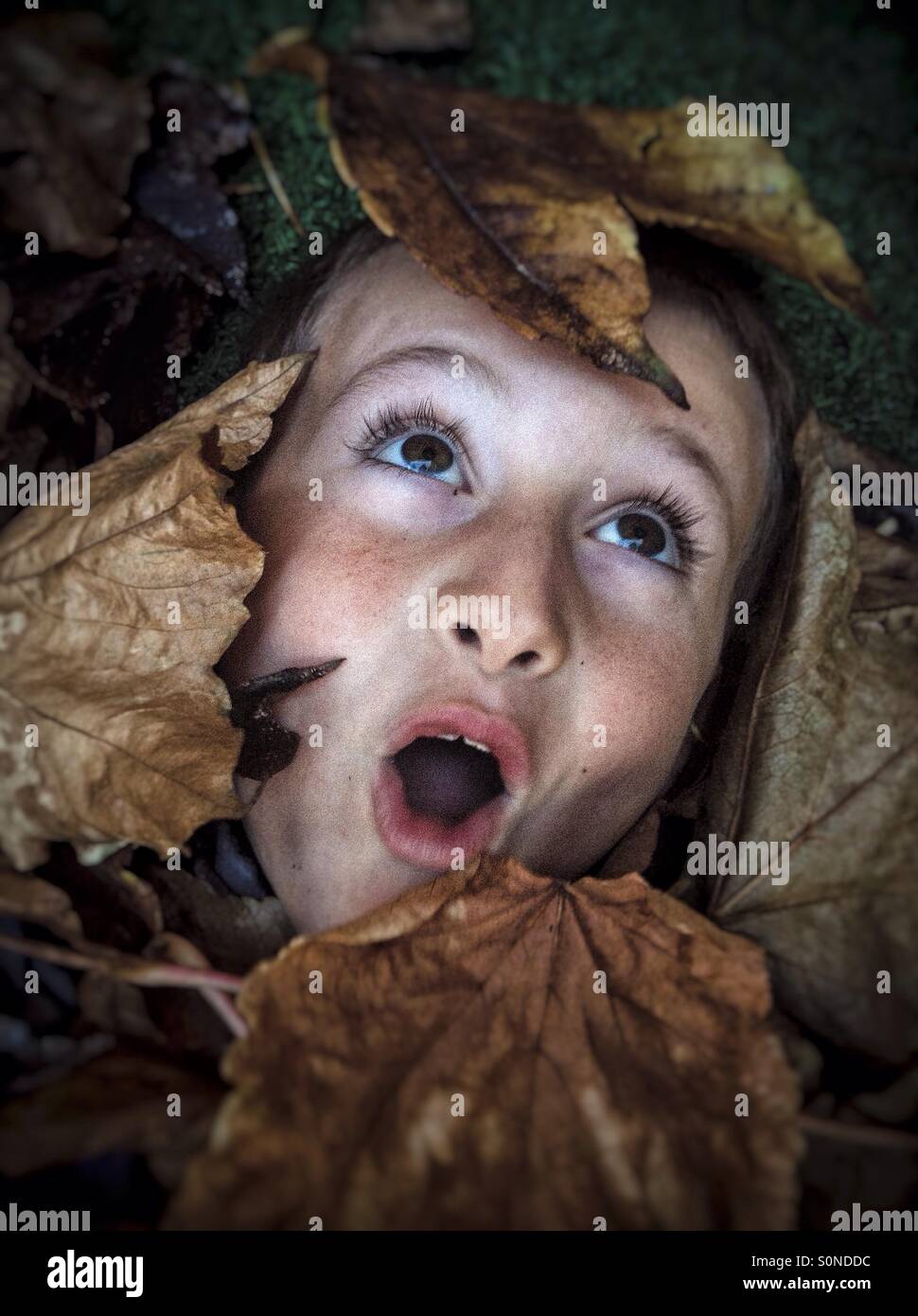 Portrait of surprised child covered in autumn leaves - Smartphone Captured Stock Image