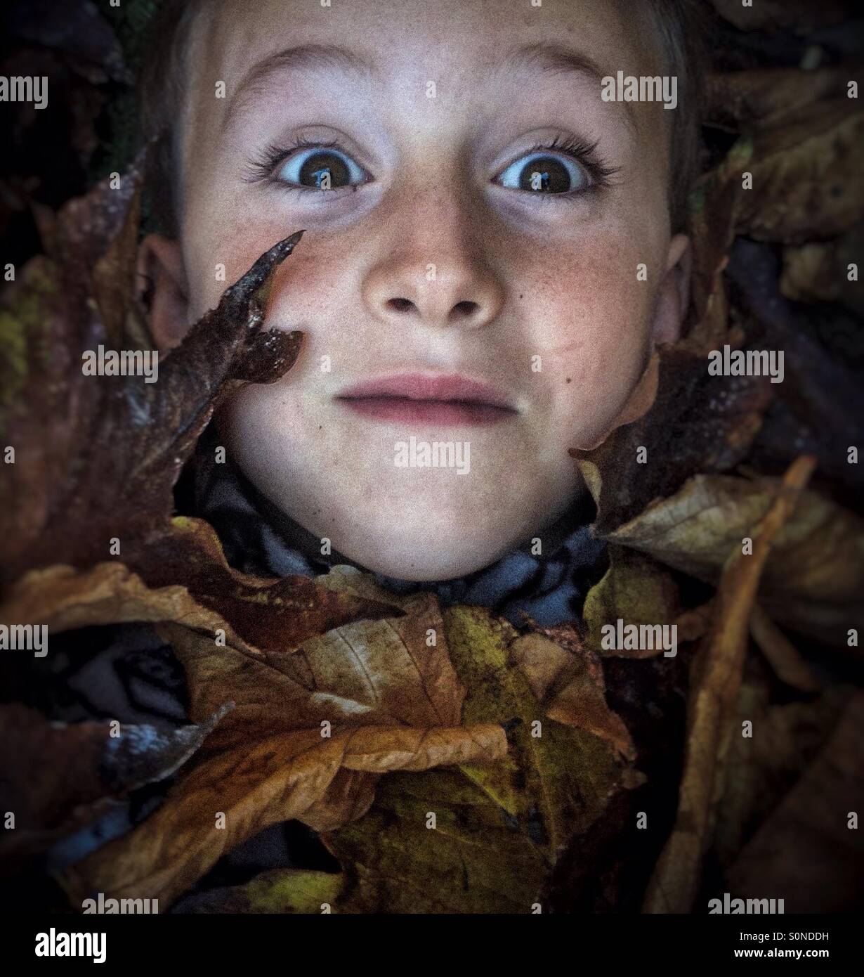 Portrait of a boy covered in autumn leaves - Smartphone Captured Stock Image