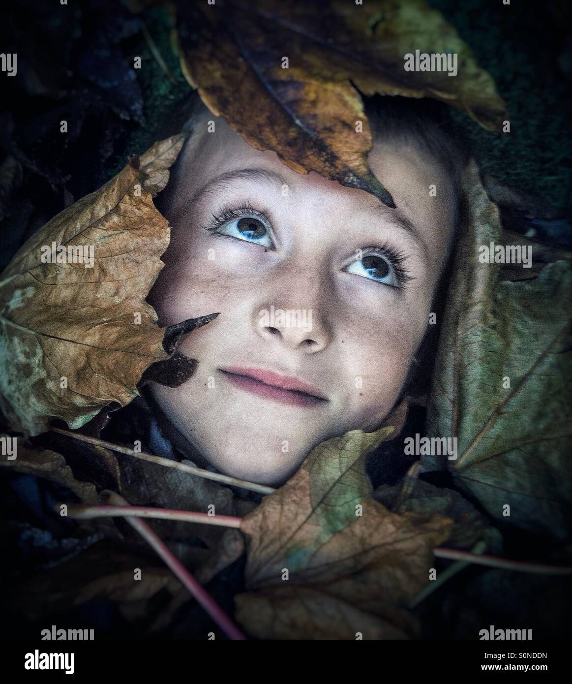 Boy covered with autumn leaves Stock Photo Alamy