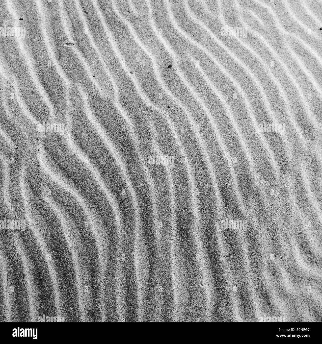 Sand Black and White Stock Photos & Images - Alamy