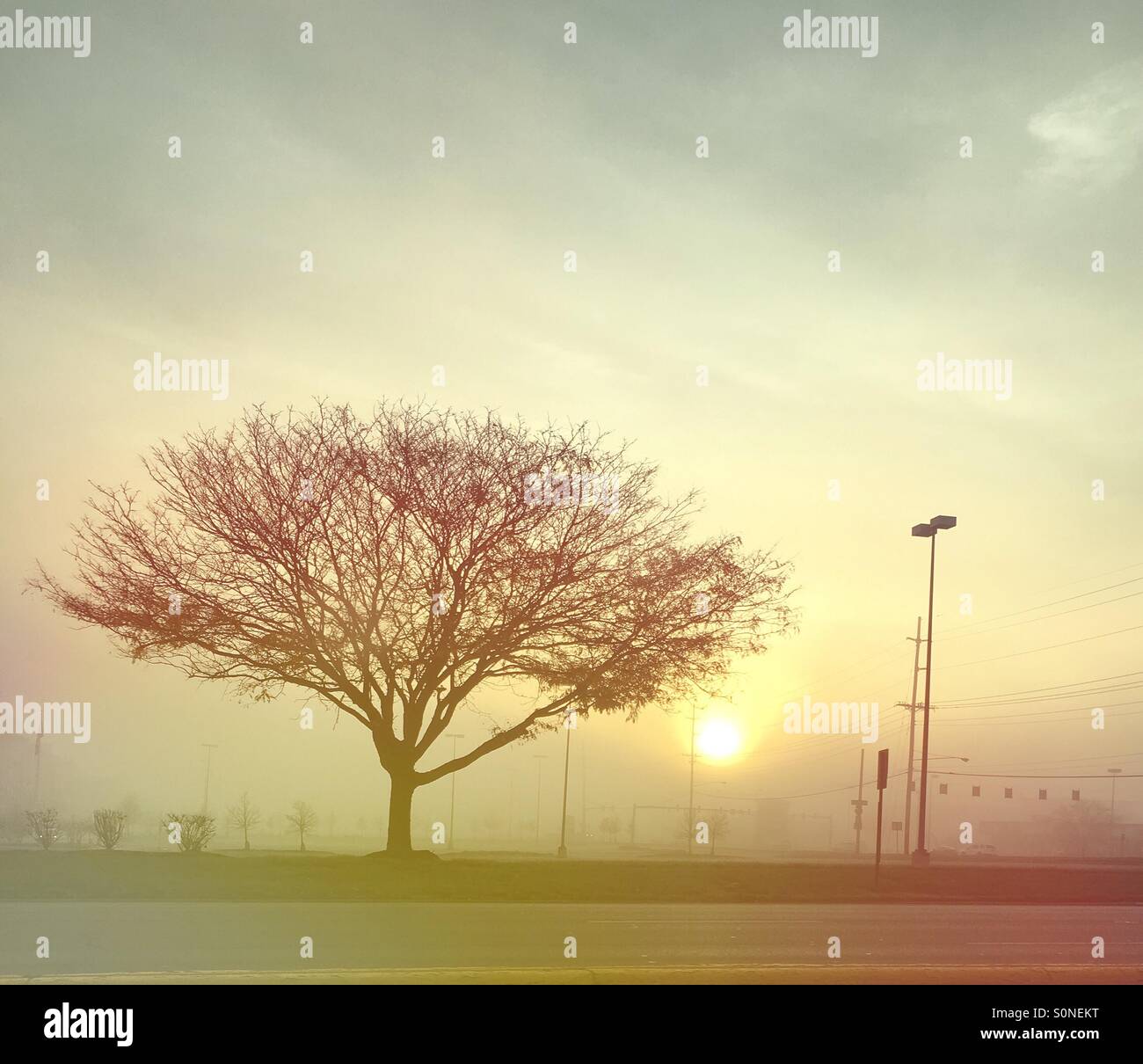 Daybreak - Smartphone Captured Stock Image