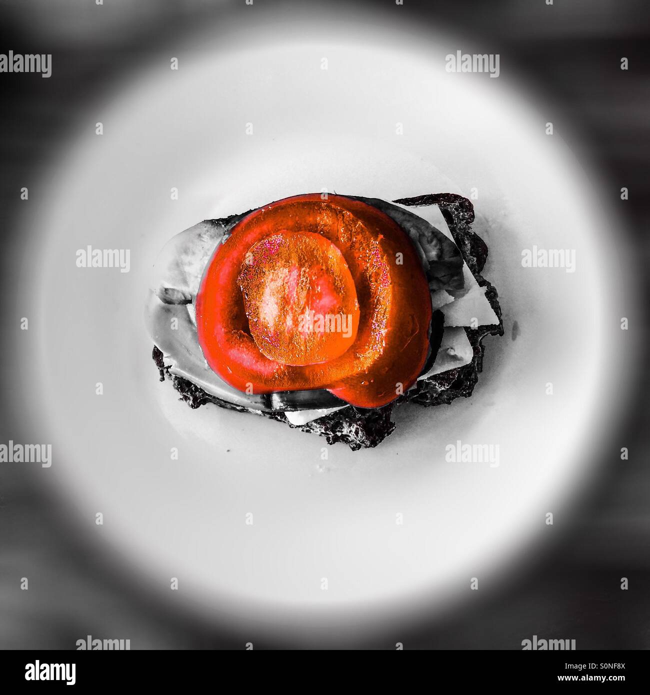 Sandwich - Smartphone Captured Stock Image