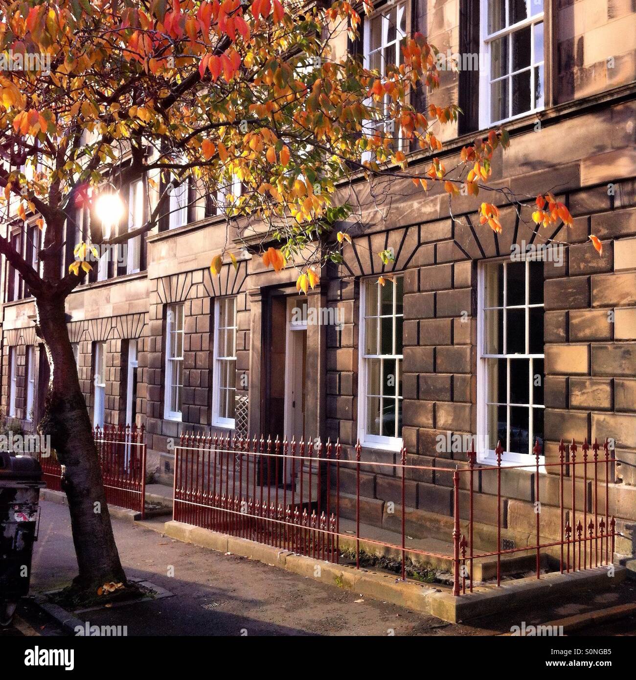 Lutton Place Edinburgh during the fall season. Old tenement building with tree adorned with fall colours. Stock Photo