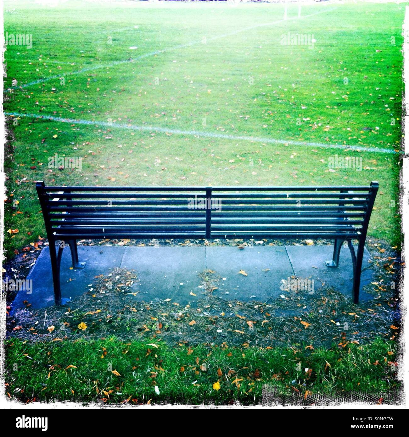 Lone bench in an Edinburgh park. Stock Photo