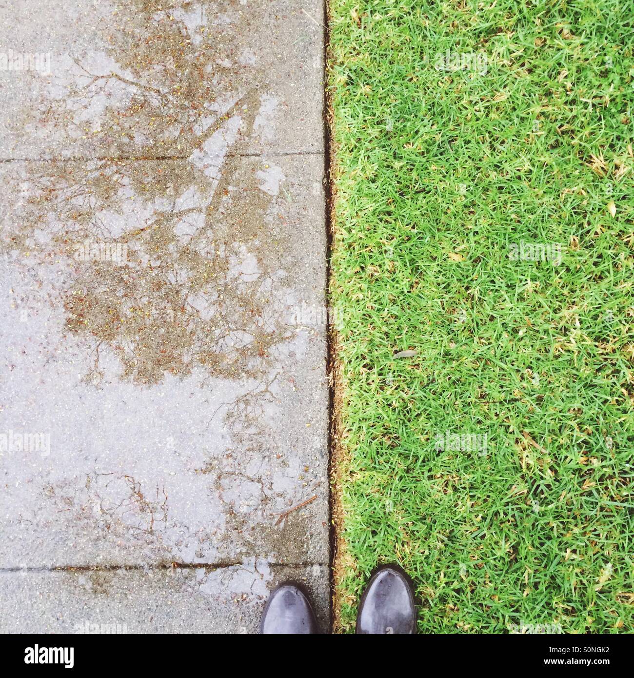 Sidewalk and grass after rain Stock Photo Alamy