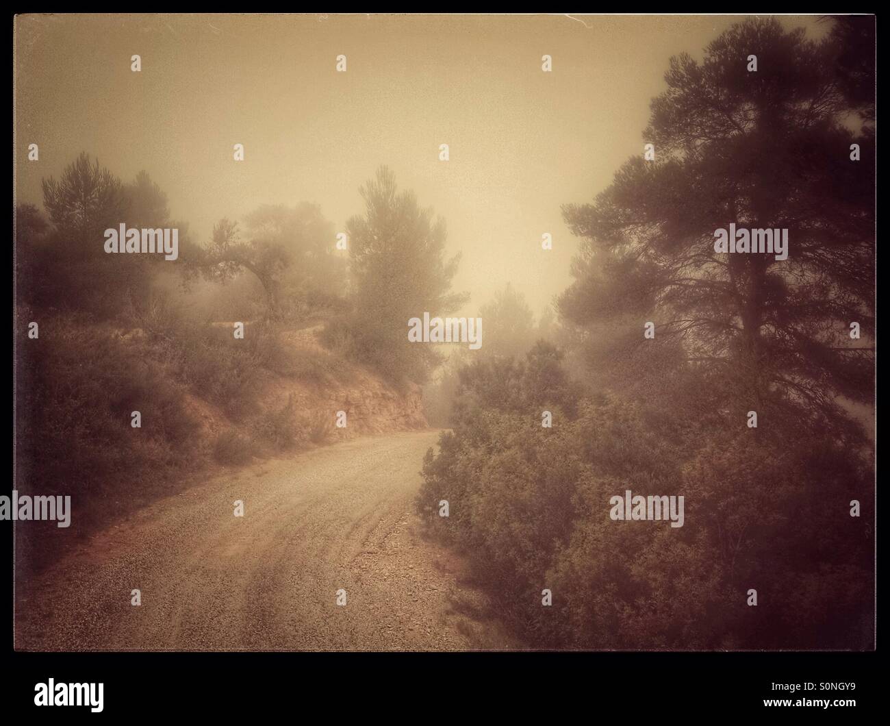 Foggy morning on a mountain road, Catalonia, Spain. - Smartphone Captured Stock Image