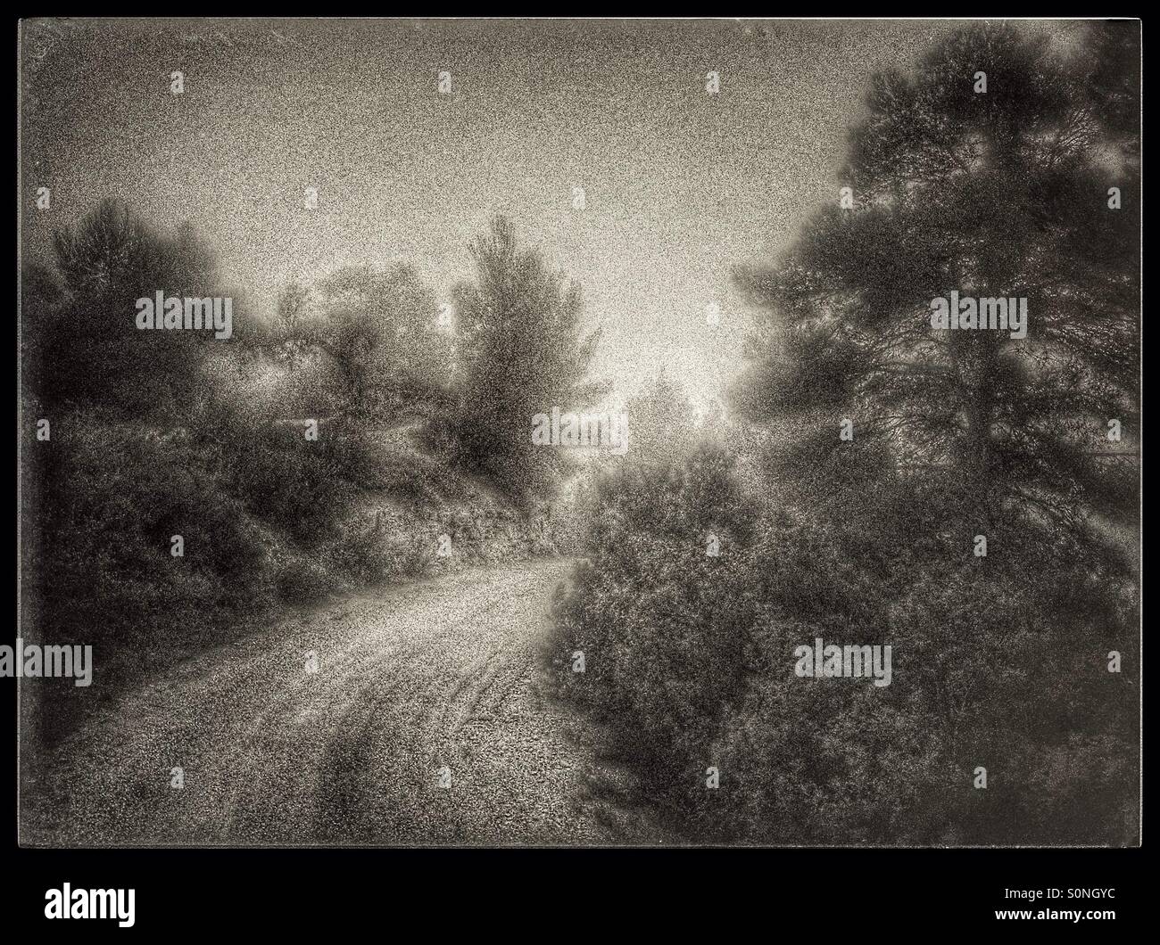 Foggy morning on a mountain road, Catalonia, Spain. - Smartphone Captured Stock Image