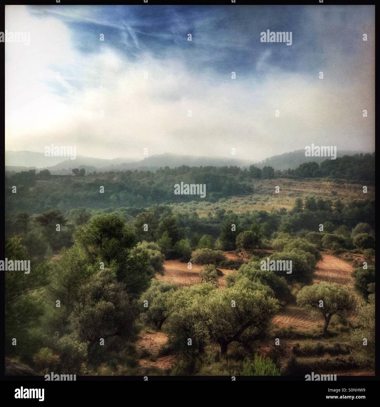 Foggy rolls over the hills and into the olive groves, Catalonia, Spain. - Smartphone Captured Stock Image
