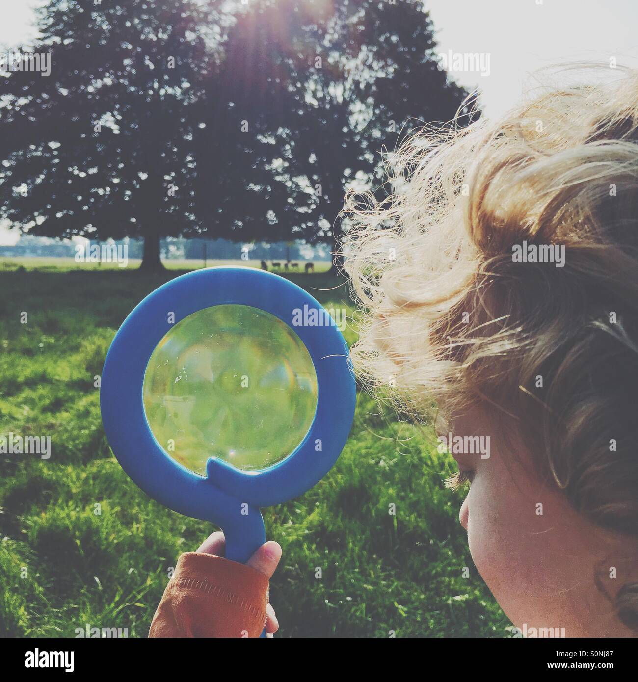 Boy looking for deer with a magnifying glass - Smartphone Captured Stock Image
