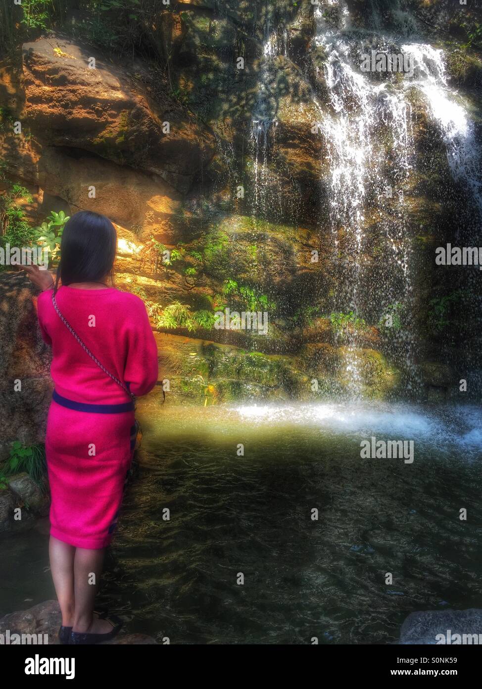 Rear view woman nature - Smartphone Captured Stock Image