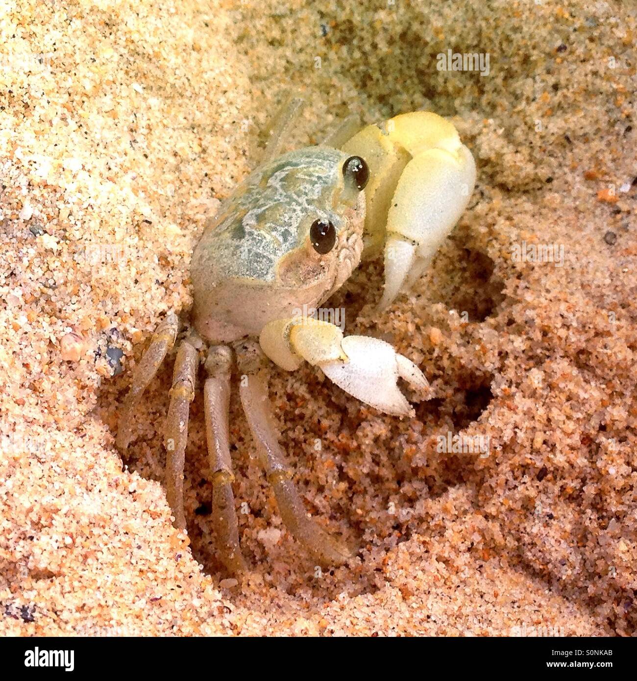 My Image 31