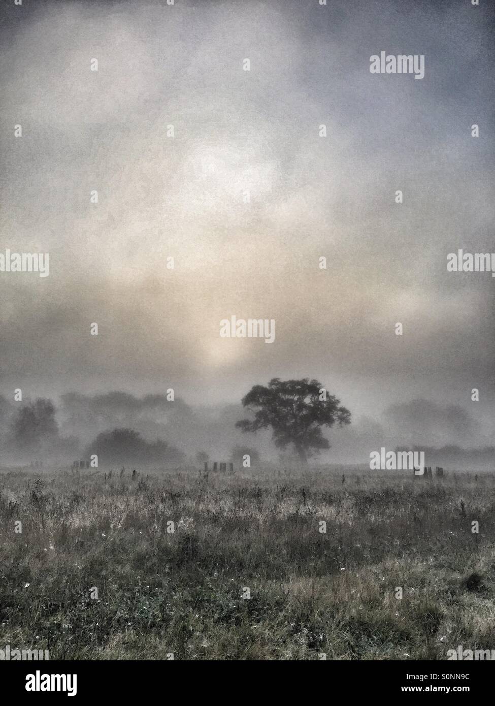 Misty morning sunrise - Smartphone Captured Stock Image