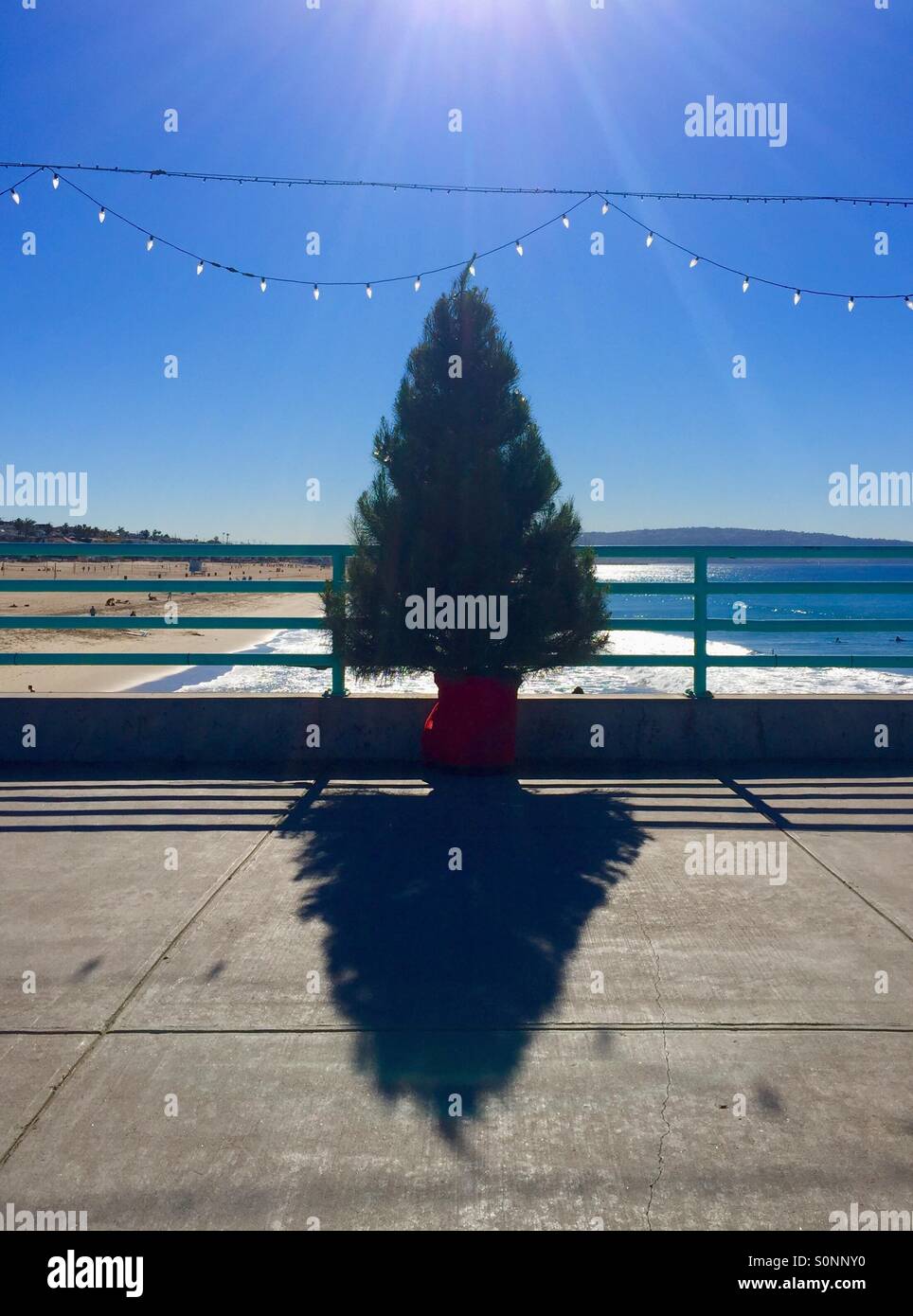 A Christmas tree and light on the Manhattan Beach pier on a sunny day