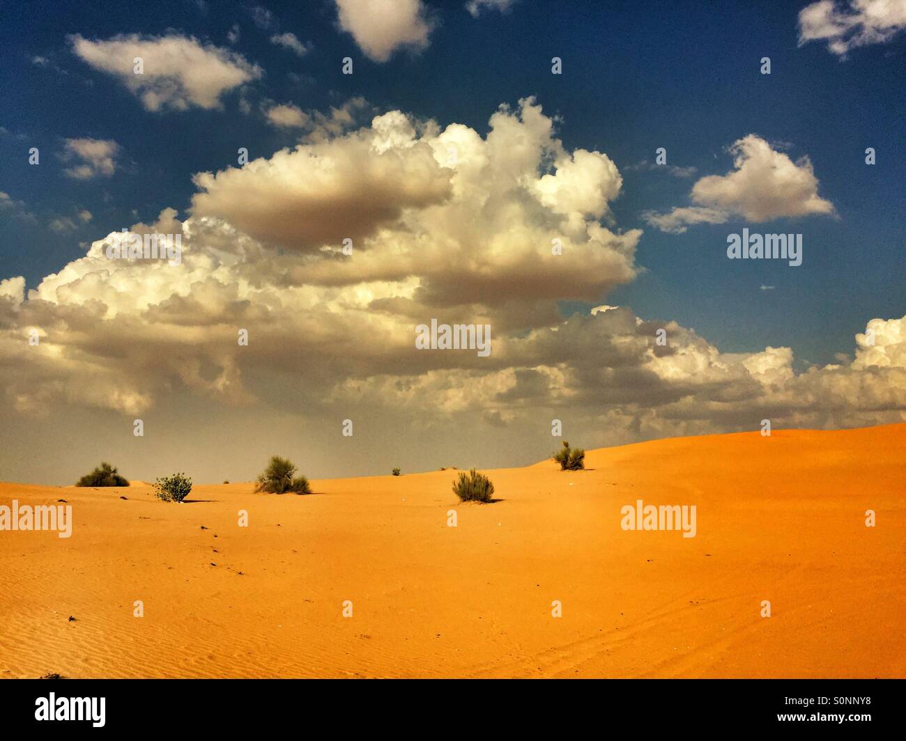 Deseret in Dubai UAE - Smartphone Captured Stock Image