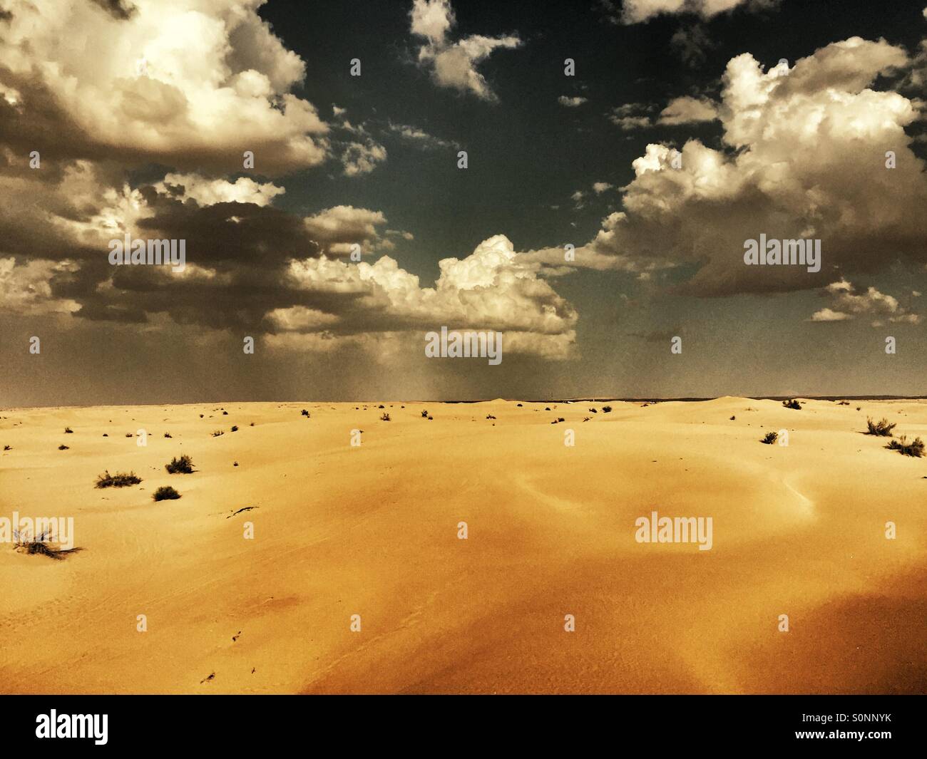 Desert Dubai UAE - Smartphone Captured Stock Image