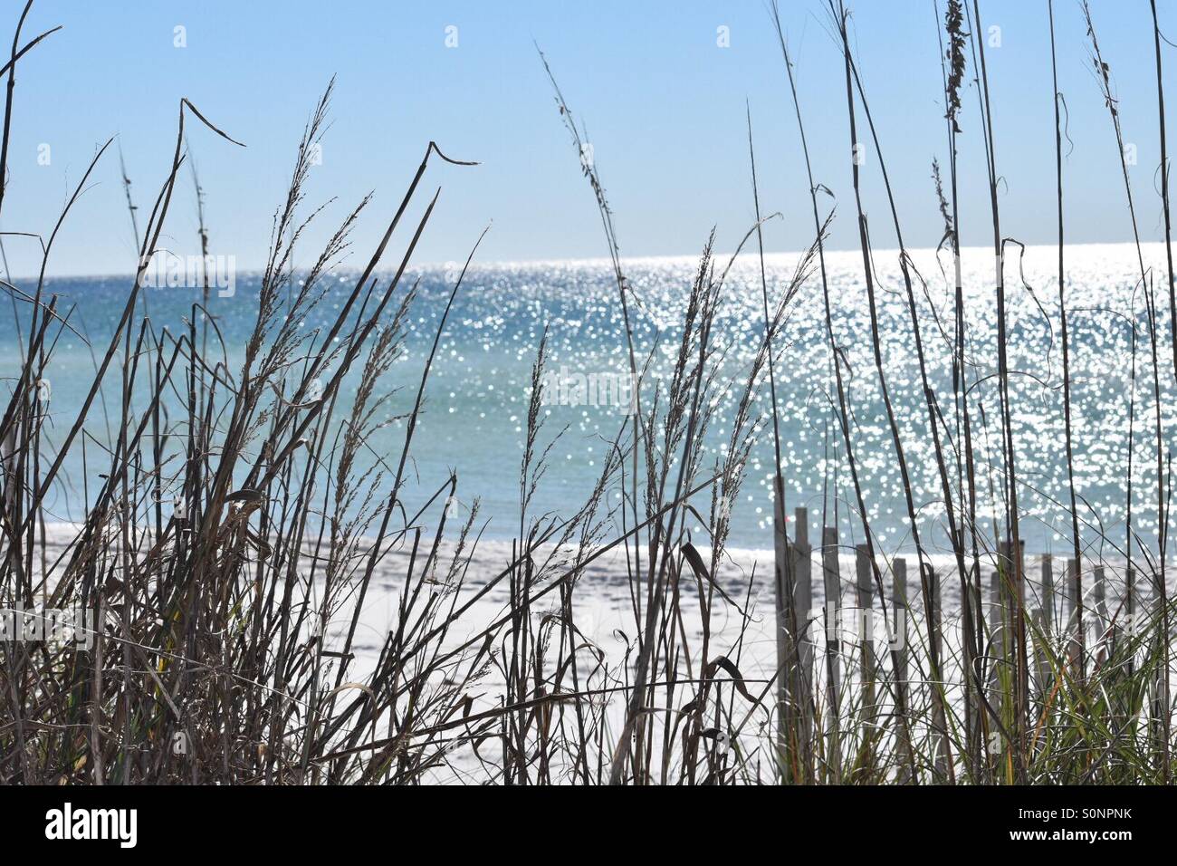 Santa Rosa Beach FL Stock Photo Alamy