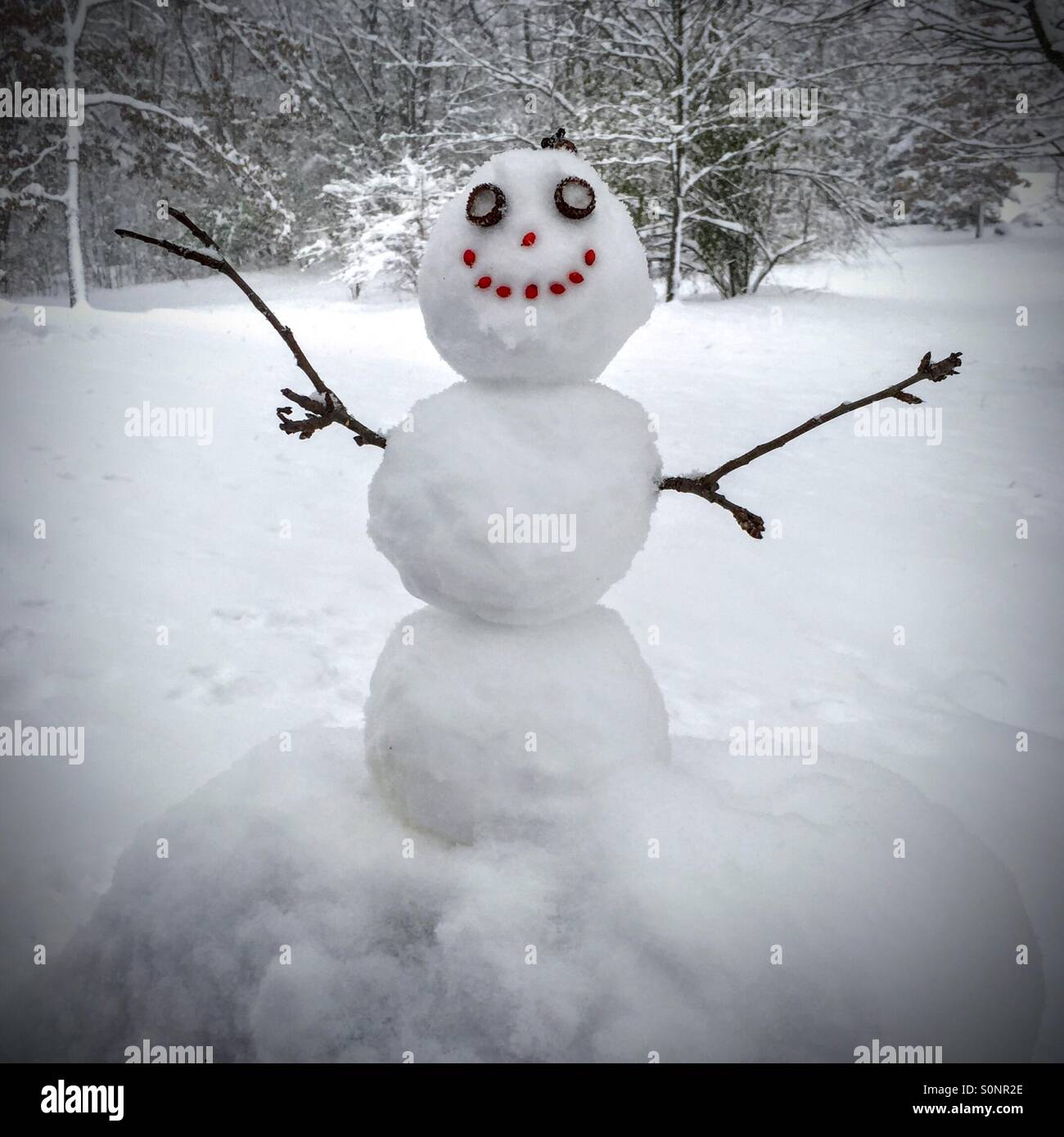 Small Snowman Sitting On A Rock In Michigan Stock Photo Alamy Small Snowman Sitting On A Rock In Michigan Stock Photo Alamy