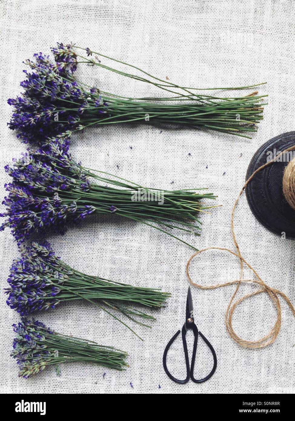 Lavender with scissors and string Stock Photo