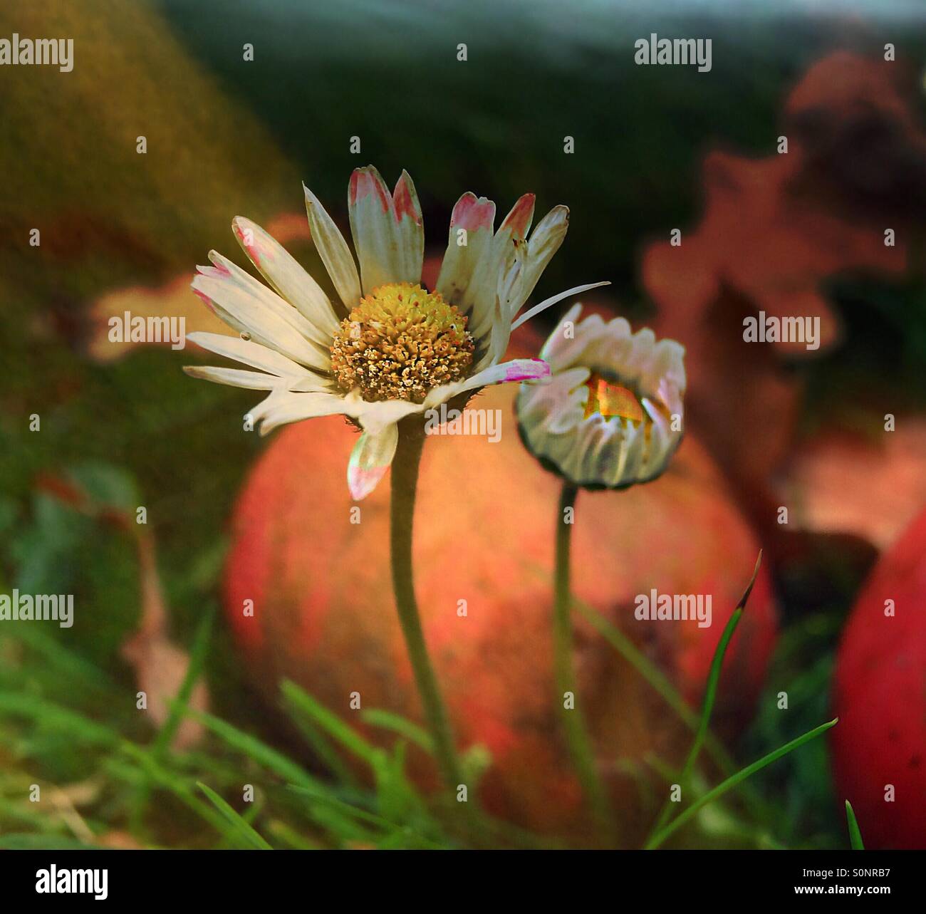 ..the two "one Stock Photo - Alamy