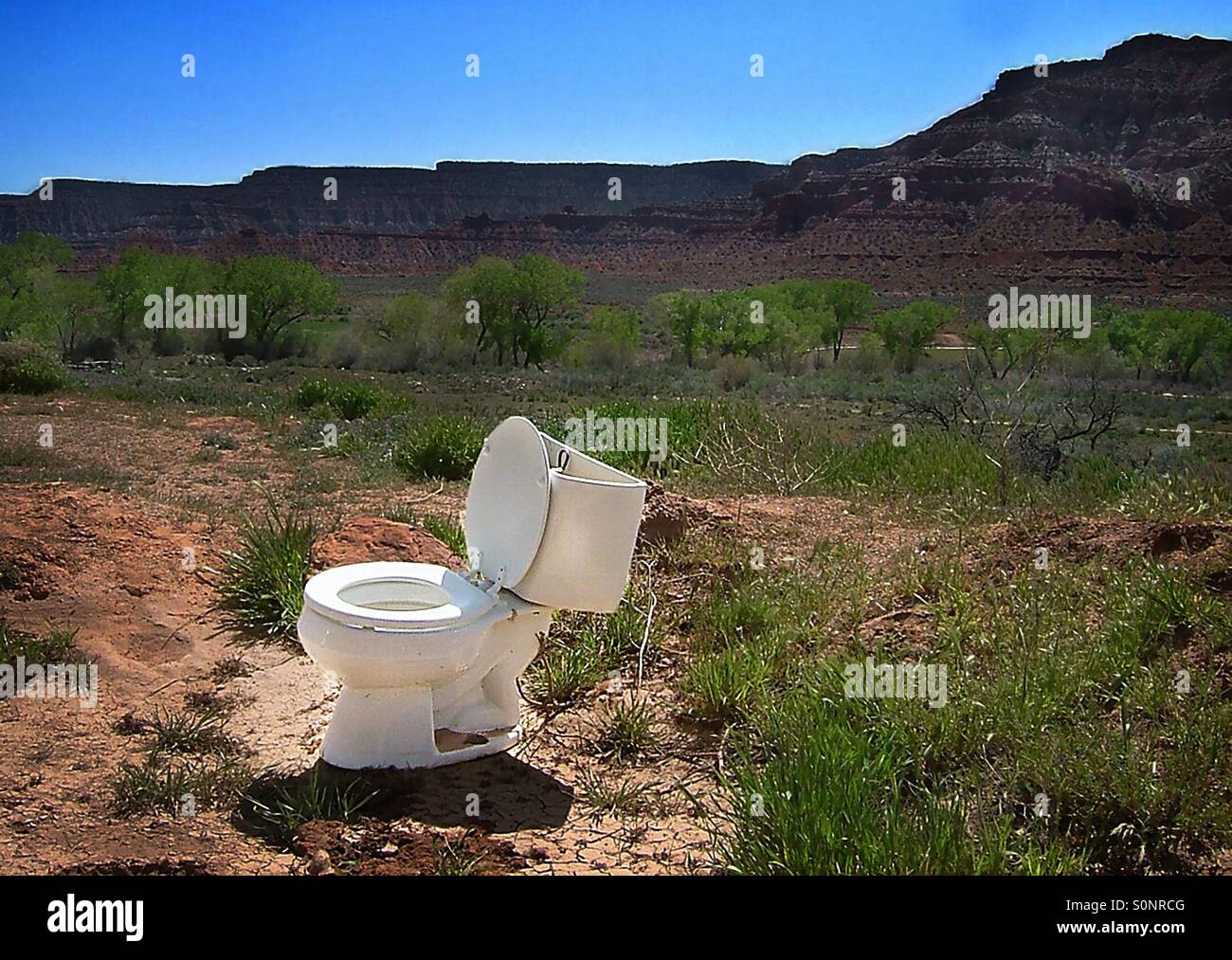 Toilet in wilderness Stock Photo Alamy