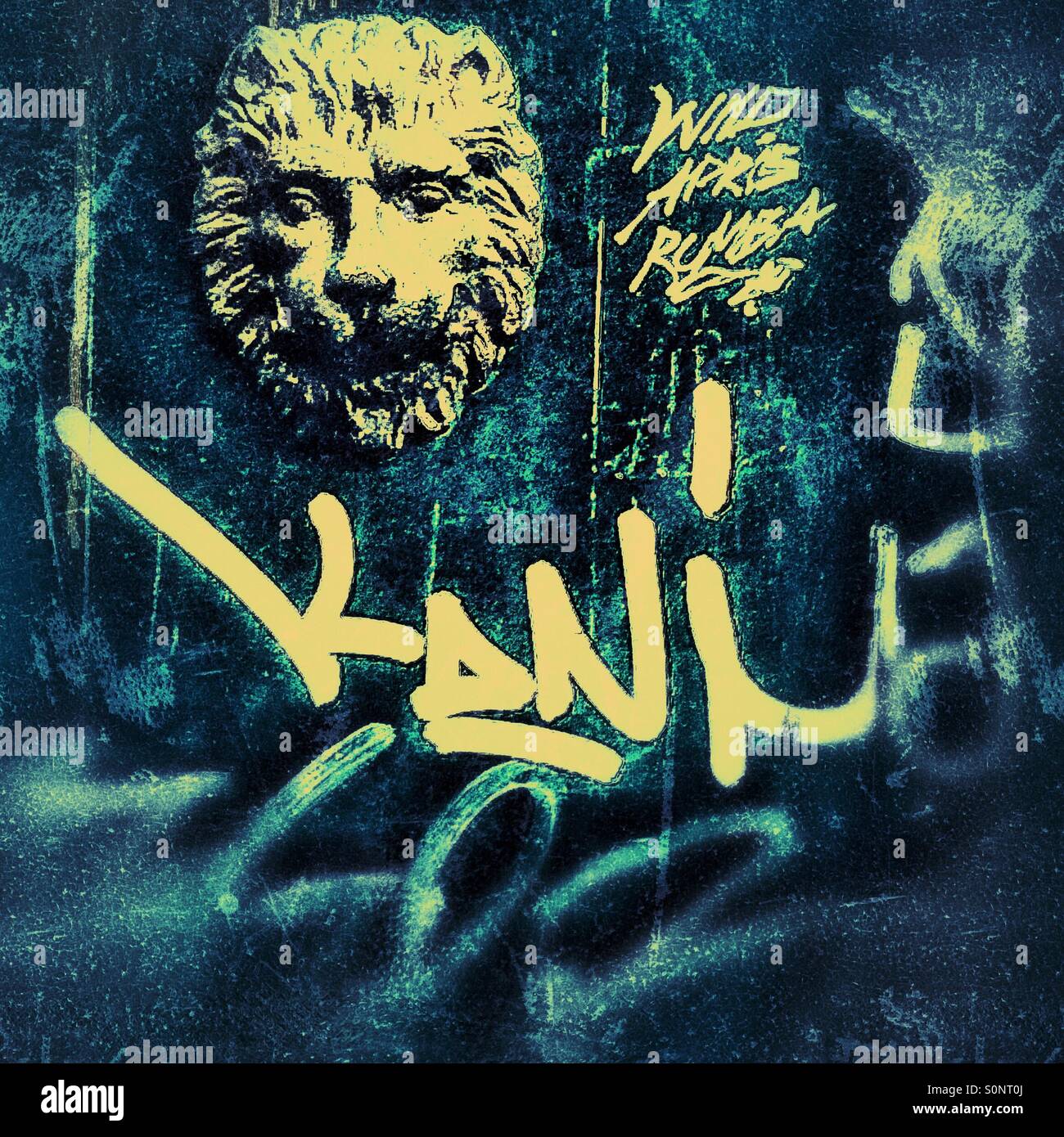 Lion head graffiti - Smartphone Captured Stock Image