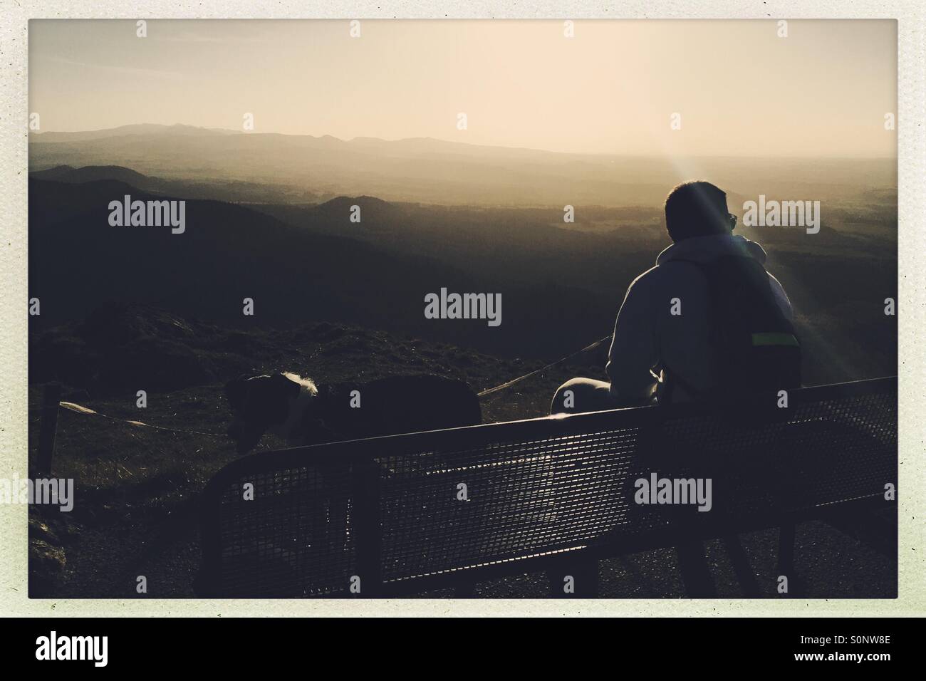 Dog and owner in country side - Smartphone Captured Stock Image