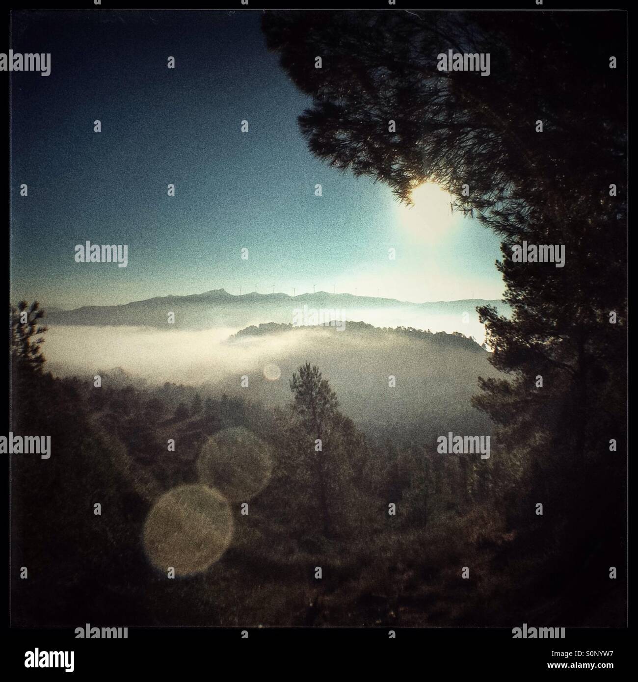 The Sun rises above a fog filled valley with a misty mountain view, Catalonia, Spain. - Smartphone Captured Stock Image