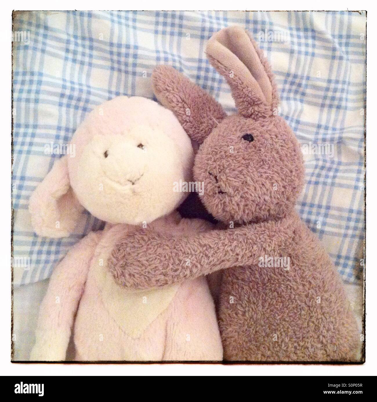 Lamb and Rabbit Stock Photo - Alamy